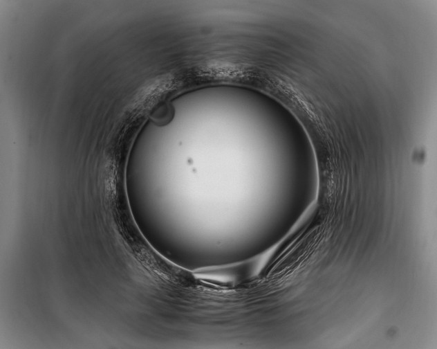 X0000101170643200806271035