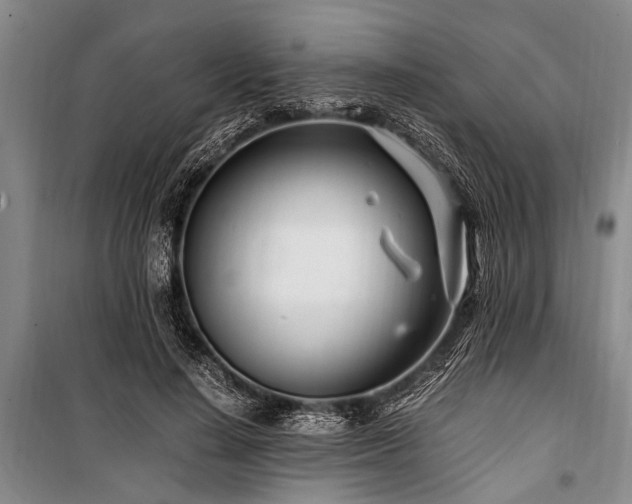 X0000101170644200806271035