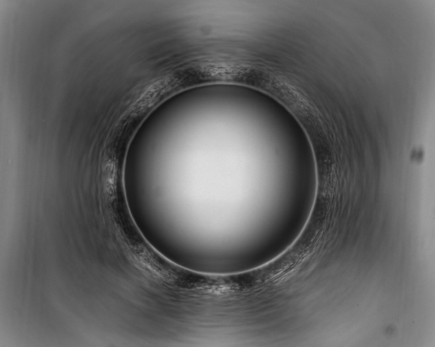 X0000101170646200806271035