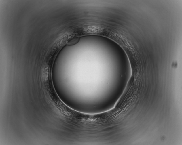 X0000101170647200806271035
