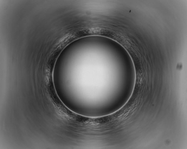 X0000101170648200806271035