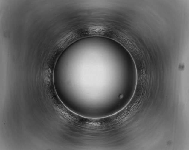 X0000101170649200806271035