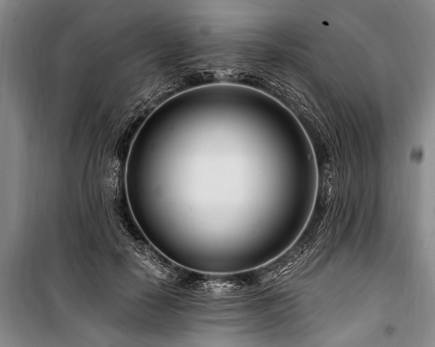X0000101170650200806271035