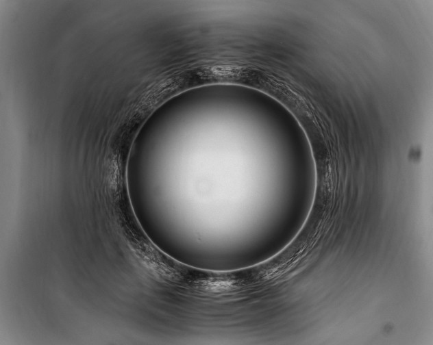X0000101170651200806271035