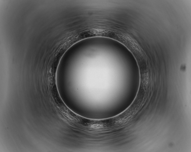 X0000101170653200806271035