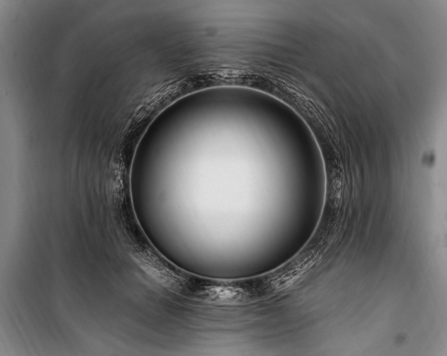 X0000101170654200806271035