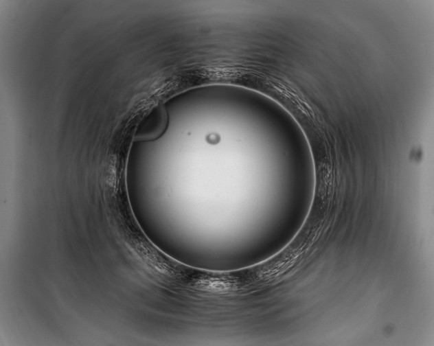 X0000101170655200806271035
