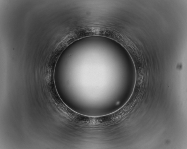 X0000101170656200806271035