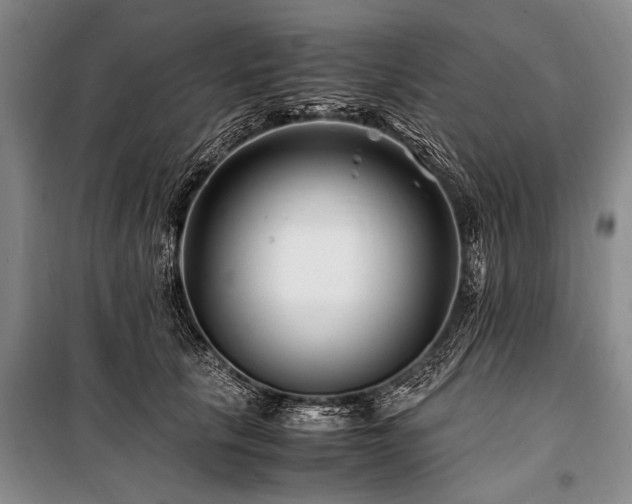 X0000101170657200806271035