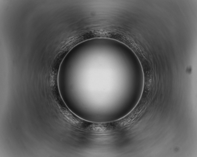 X0000101170658200806271035