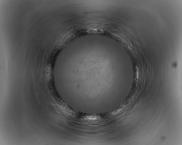 X0000101170659200806271035