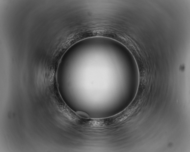 X0000101170660200806271035
