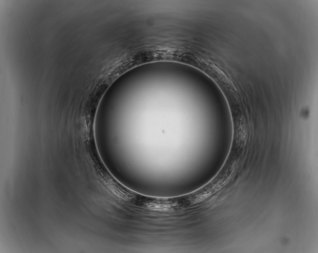X0000101170661200806271035