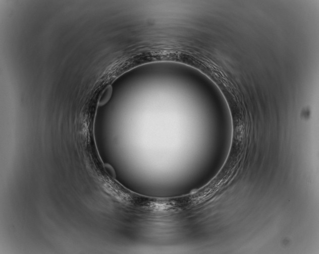 X0000101170662200806271035