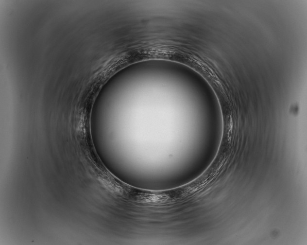 X0000101170663200806271035