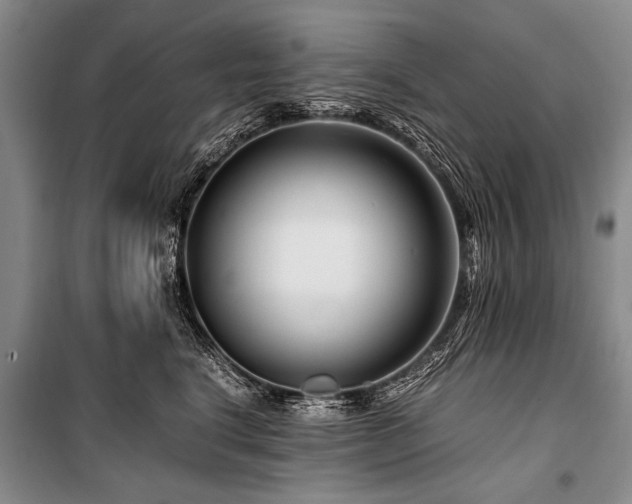 X0000101170664200806271035