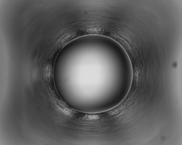 X0000101170665200806271035