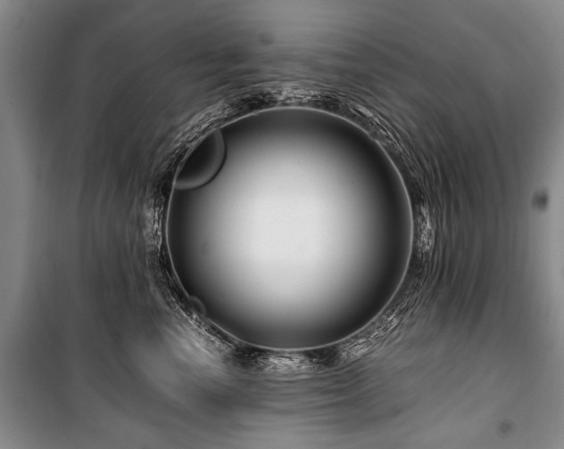 X0000101170666200806271035
