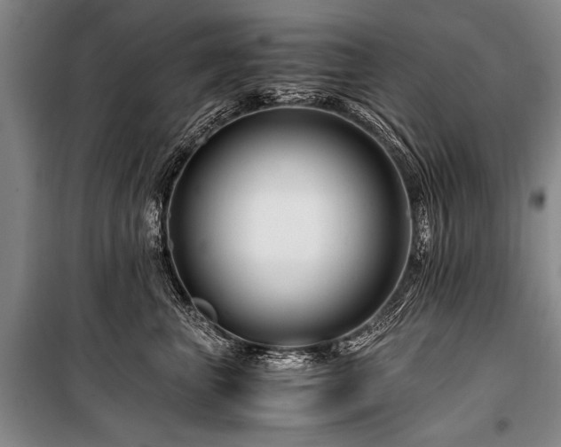 X0000101170667200806271035