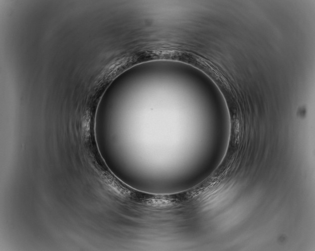 X0000101170668200806271035