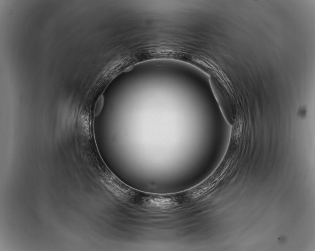 X0000101170669200806271035