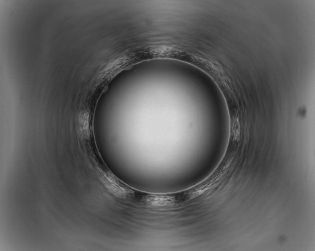 X0000101170670200806271035