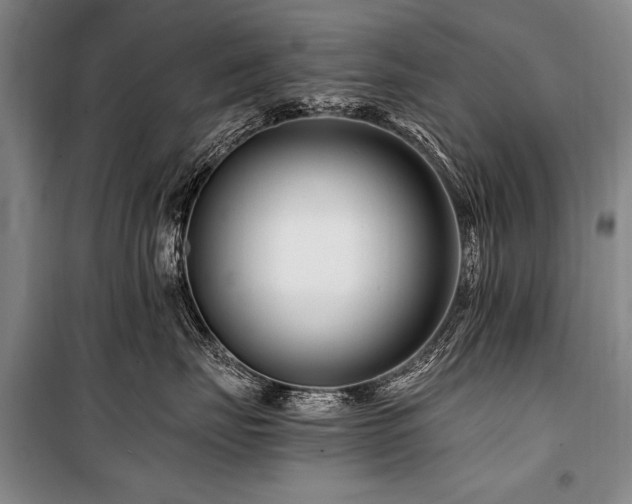 X0000101170671200806271035
