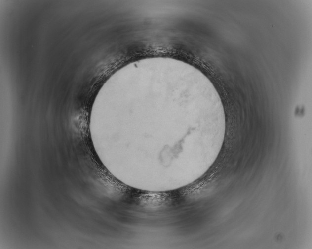 X0000101170672200806271035