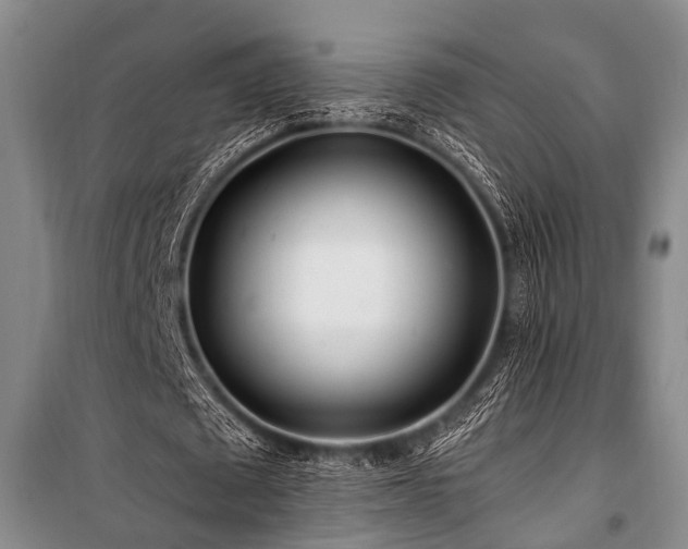 X0000101170673200806271035