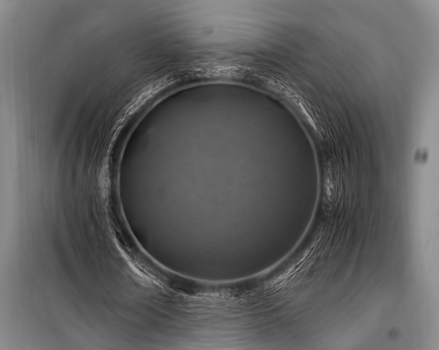 X0000101170674200806271035