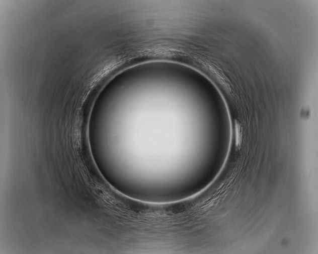 X0000101170675200806271035