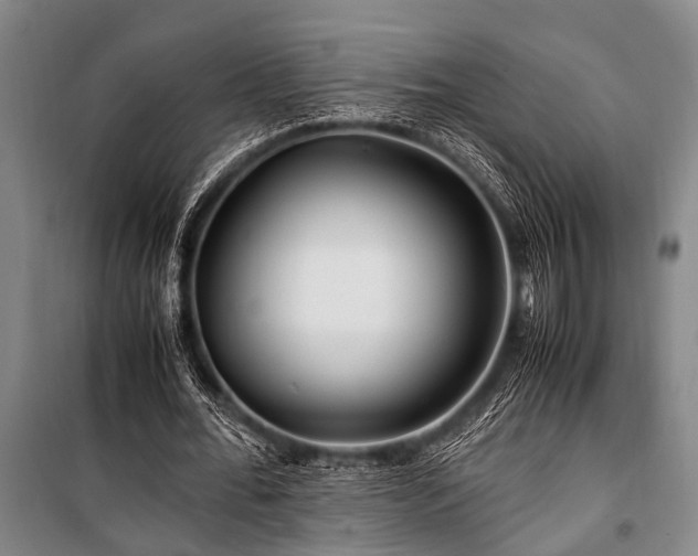 X0000101170676200806271035