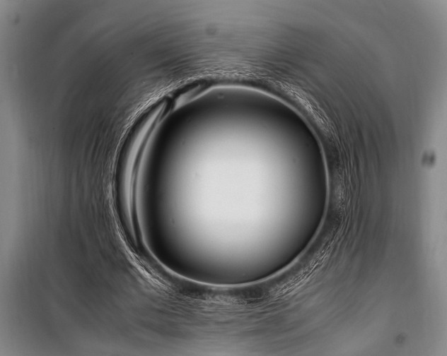 X0000101170677200806271035