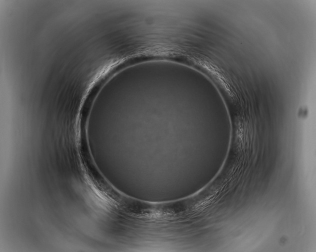 X0000101170678200806271035