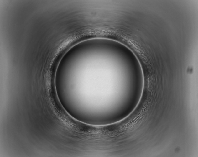 X0000101170679200806271035