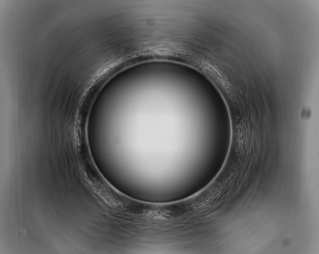 X0000101170680200806271035