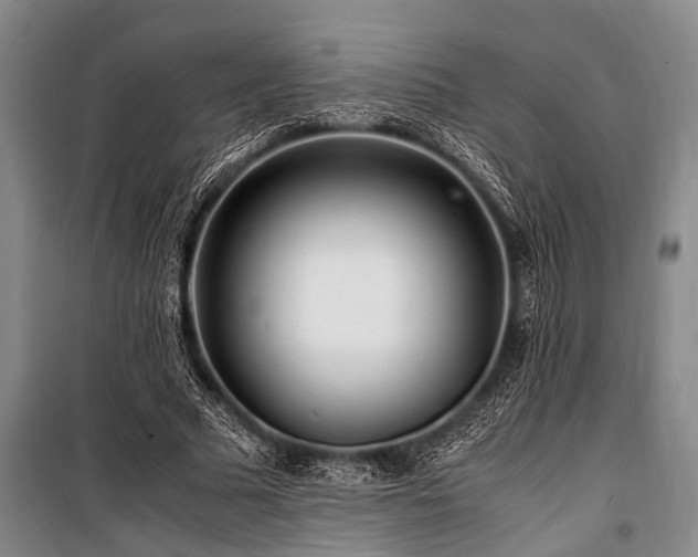X0000101170681200806271035