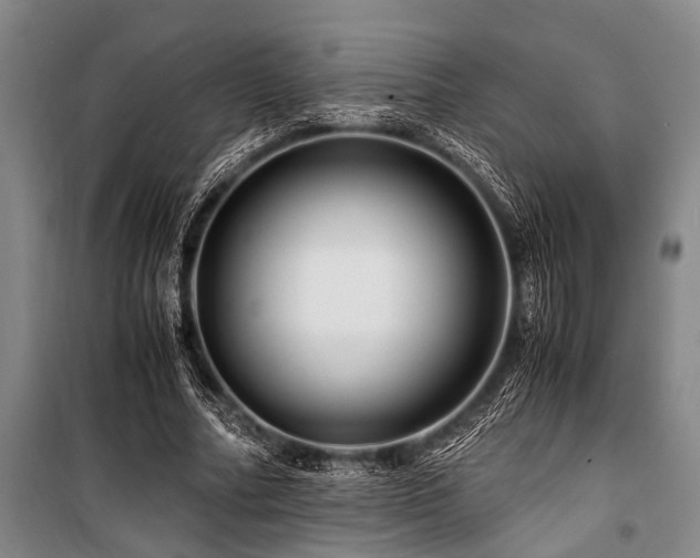 X0000101170682200806271035