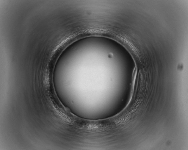 X0000101170684200806271035