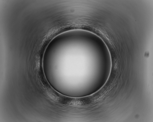 X0000101170685200806271035