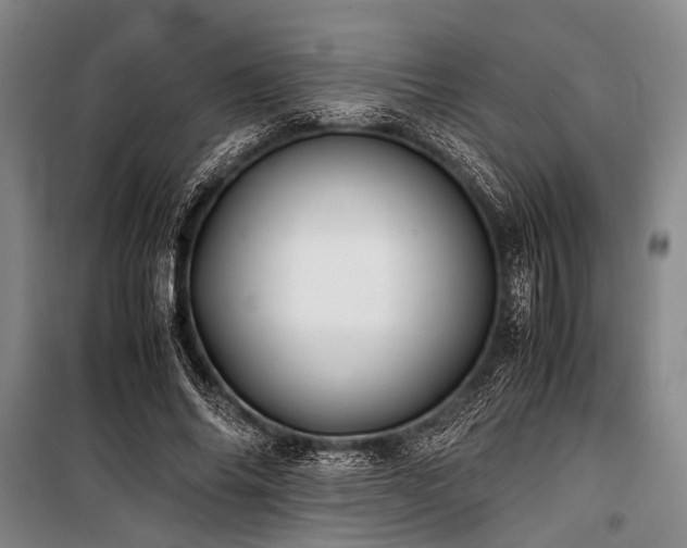X0000101170686200806271035