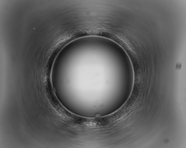 X0000101170687200806271035