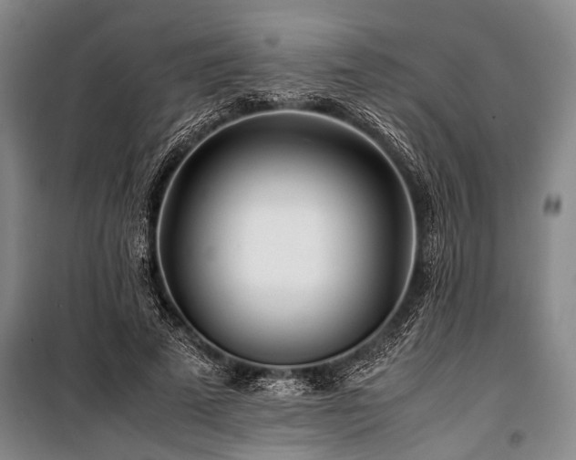 X0000101170689200806271035