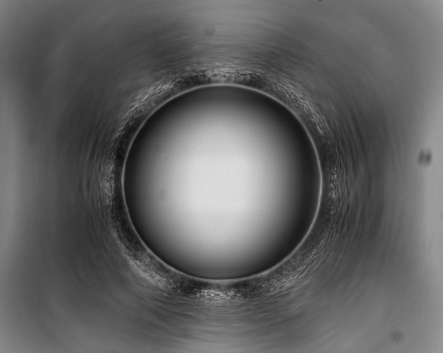 X0000101170690200806271035