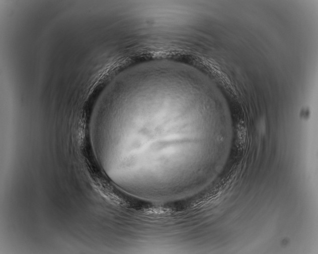 X0000101170691200806271035