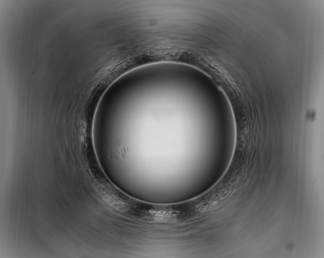 X0000101170693200806271035