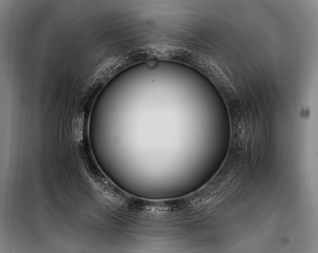 X0000101170694200806271035