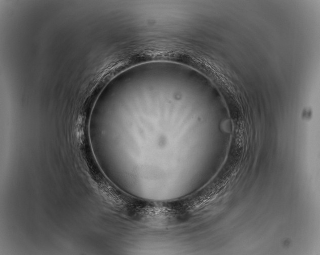 X0000101170695200806271035
