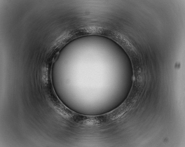 X0000101170696200806271034