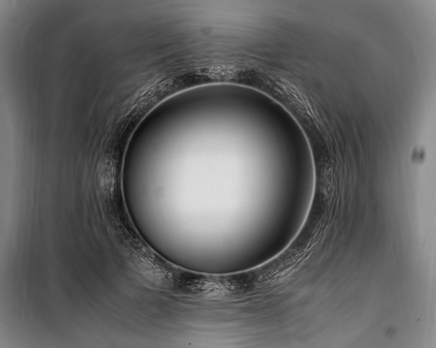 X0000101170697200806271034